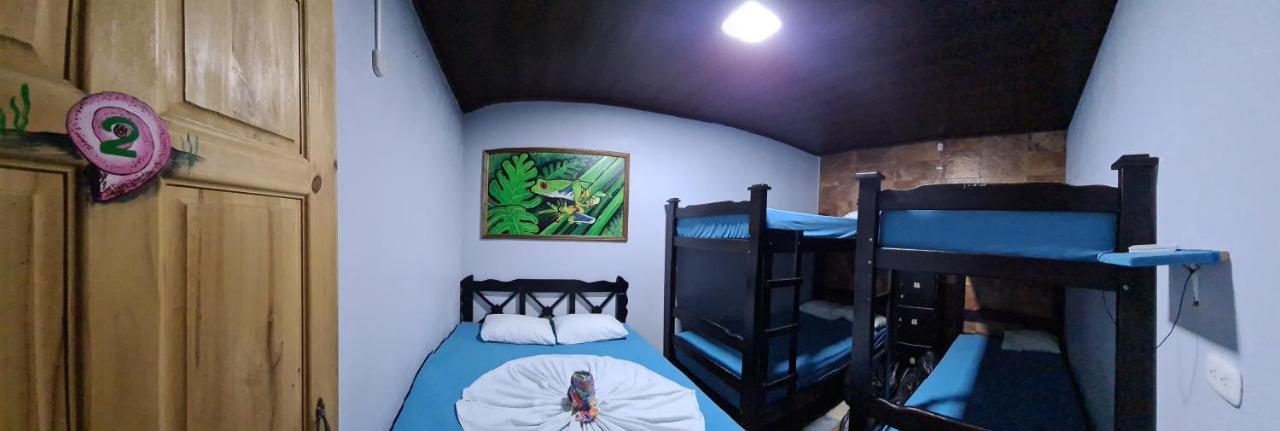 Hostel Tortuguero 7BackPackers Esterno foto