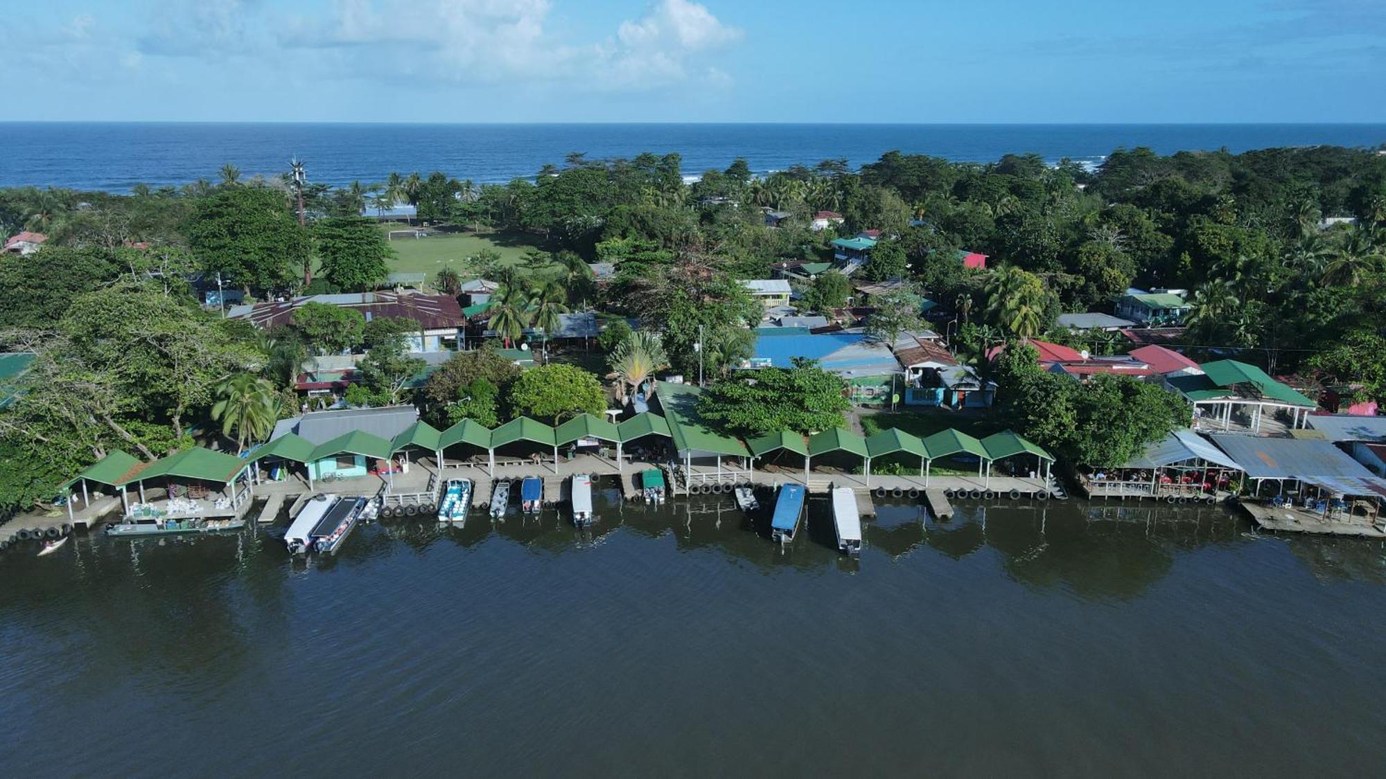 Hostel Tortuguero 7BackPackers Esterno foto