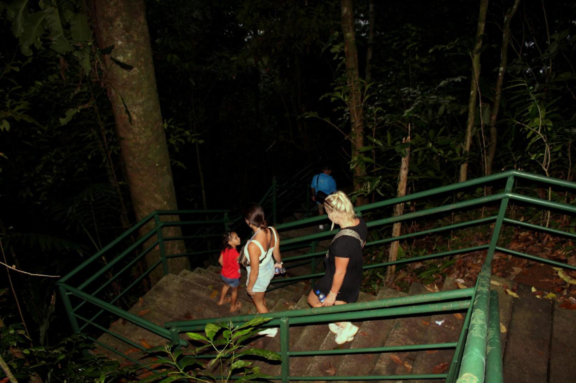 Hostel Tortuguero 7BackPackers Esterno foto